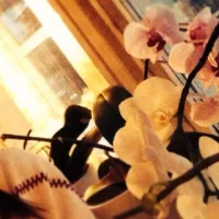 Alexandraa Andersson