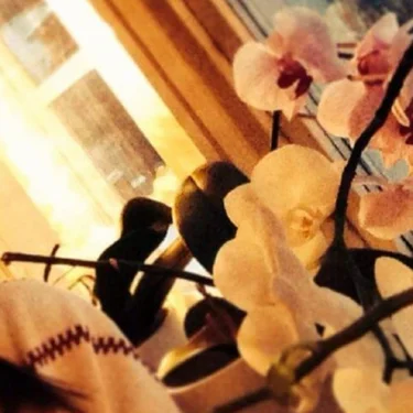 Alexandraa Andersson