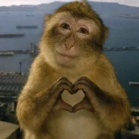 😙💞