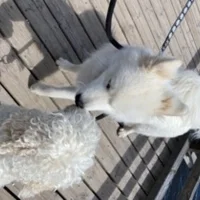 Lolalola✌️✌️