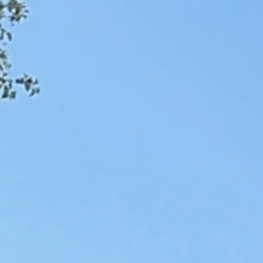 Säljeralltmöjl8