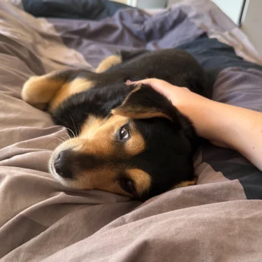 Rebecca Kiewicz❤️