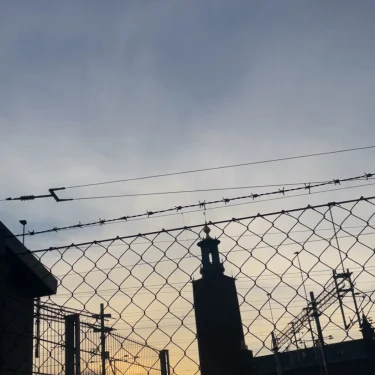 Freja Forsmark olsson