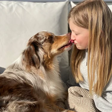 🩷🐹clarisen🐹🩷