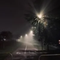 Alice Miller Rindsäter