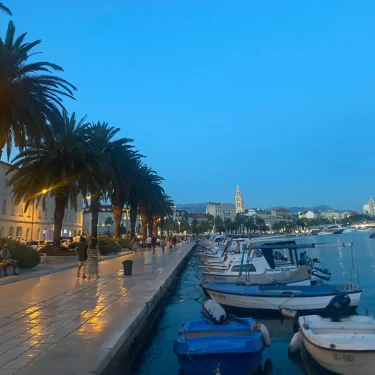 ~💫🐆Rut🐆💫~