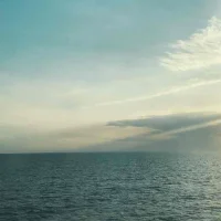 Bonnie sell out⚡️