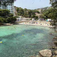 Kristofer Pettersson