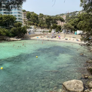 Kristofer Pettersson