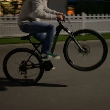 Ynk von franz swarts