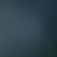 Vide_1887