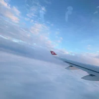 Malou Wallmark Cuvelier