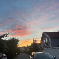 Viola Ravik❤️🐆🥂