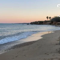 Molly kjellin🫶🏼