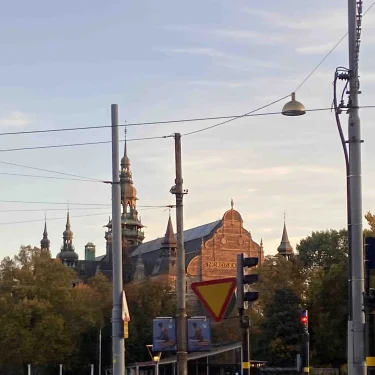 ⚡️Wilma Hélin⚡️