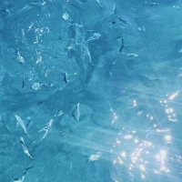 Lavina🌟🌷🪩🎀💌