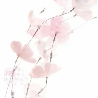 Youra Beads ⋆˚𝜗𝜚˚⋆