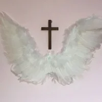 🕊️