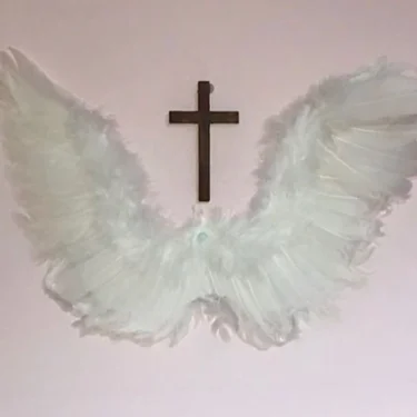 🕊️
