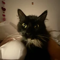 Vera💞