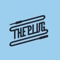 The plug