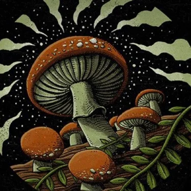 🍄alma🍄