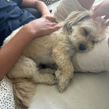 Oggios