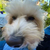 Eja Nordgren-Cidrér