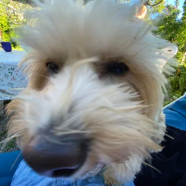 Eja Nordgren-Cidrér