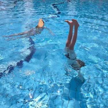 ℰ𝓁𝓁ℯ𝓃 ℬ𝓇ℴ𝓇𝓈𝓈ℴ𝓃