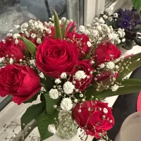 stellallord@icloud.com