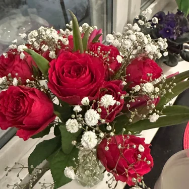 stellallord@icloud.com