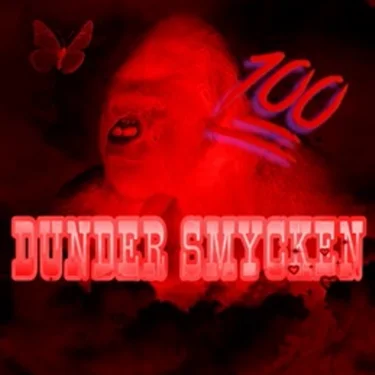 Dunder smycken💯