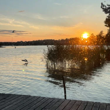 Amanda Wattin Björk