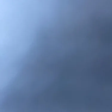 Oli