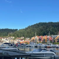 David Sandefjord