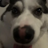 Antonio Anders Nilsson