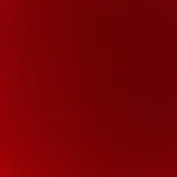 Sally Thörnholm Friedman