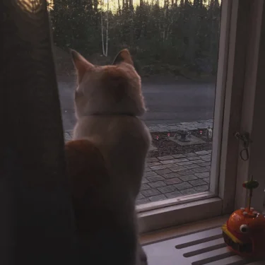 Ronja