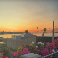 Alma krunicpettersson