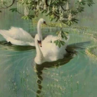 Linn Stén (läs bio💚)