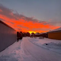 Alexander Gustafsson