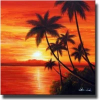 nasimarahimi@gmail.com