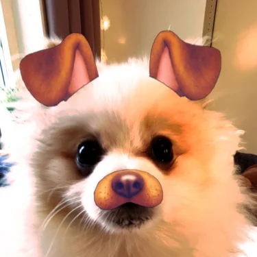 💗📸✌️😍Tyra😍✌️📸💗