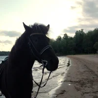 Hedda Eurén Norberg