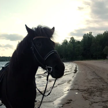 Hedda Eurén Norberg