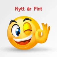 NyttFint
