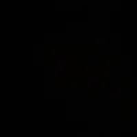 Stephanie&Michelle 👭🏽