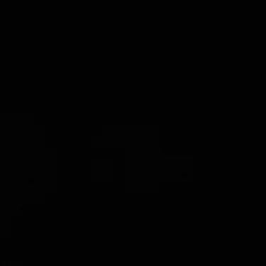 C16