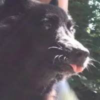 ellie Johnsson wilfer